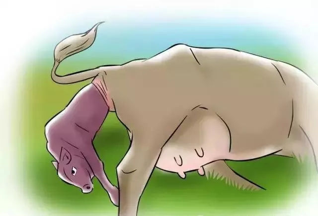 小?？醇摇概７置洮F象