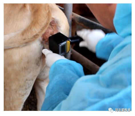 旋轉排卵測定儀