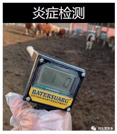 排卵測定儀炎癥檢測