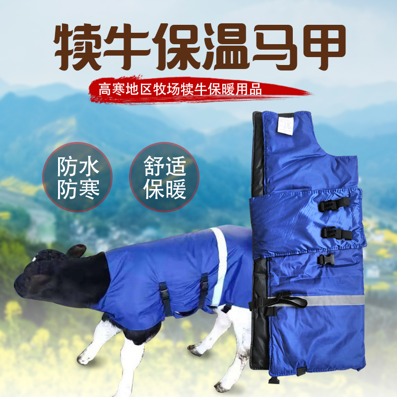 犢牛保暖馬甲