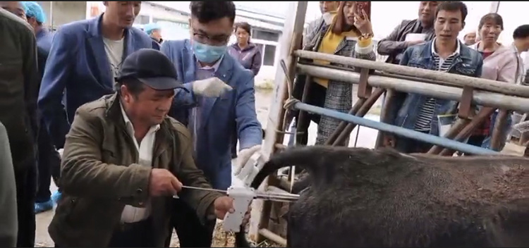 寧夏固原市涇源縣畜牧站-愛(ài)牧多案例