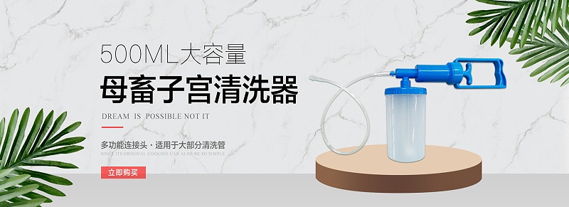便攜子宮清洗器