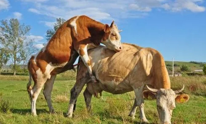 微信截圖_20211013173219