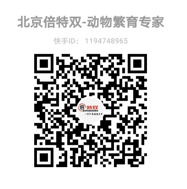 北京倍特雙官方直播間