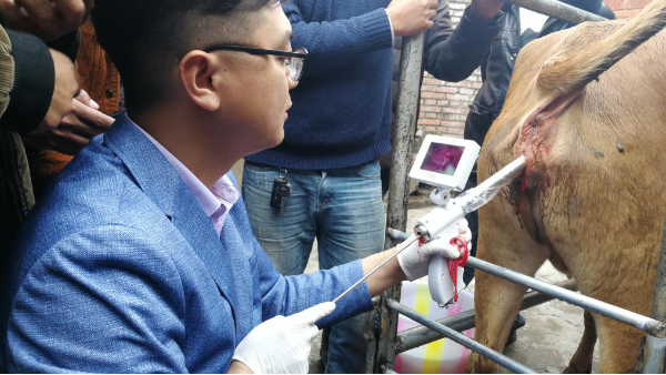 河北愛牧多牛可視輸精槍